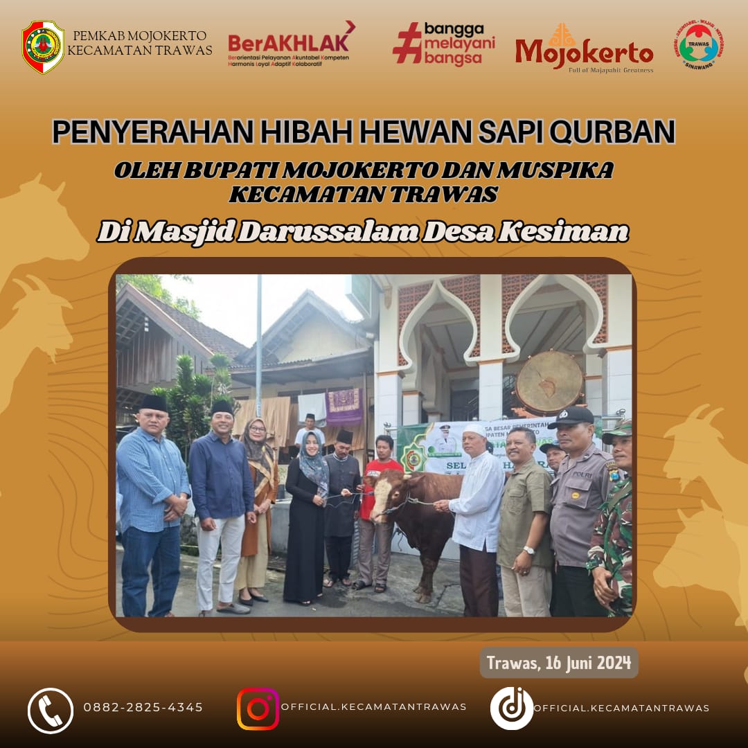 PENYERAHAN HIBAH HEWAN SAPI KURBAN DARI PEMKAB MOJOKERTO UNTUK MASJID DARUSSALAM DESA KESIMAN