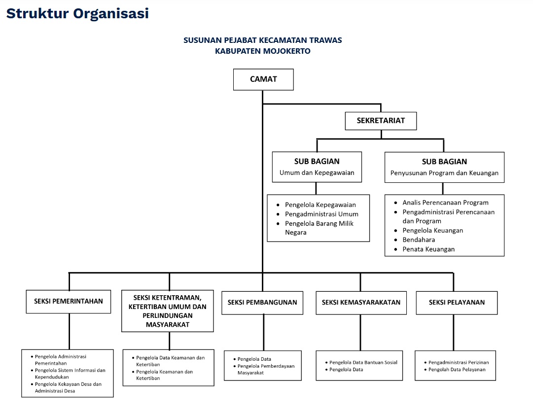 Struktur Organisasi